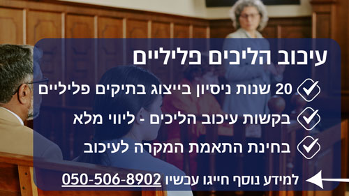 עיכוב הליכים פליליים - מתי וכיצד עוצרים הליך פלילי?
