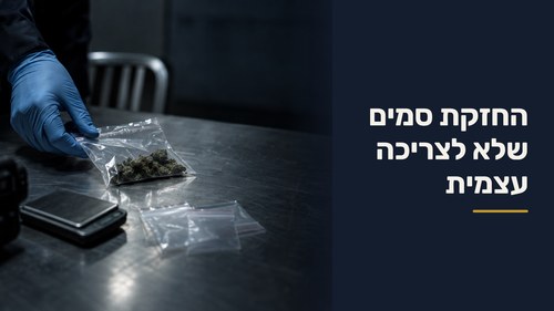 החזקת סמים שלא לצריכה עצמית